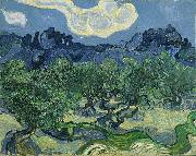 Vincent Van Gogh The Olive Trees